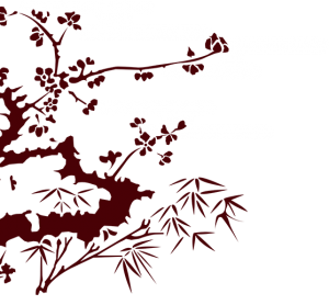 top_bg002