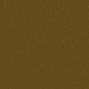 top_bg003